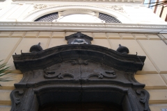 SONY DSC