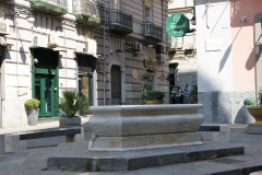 Piazza Carlo Troya e Fontana della Pietra del Pesce