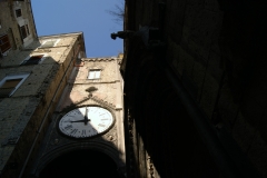 SONY DSC