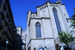 SONY DSC
